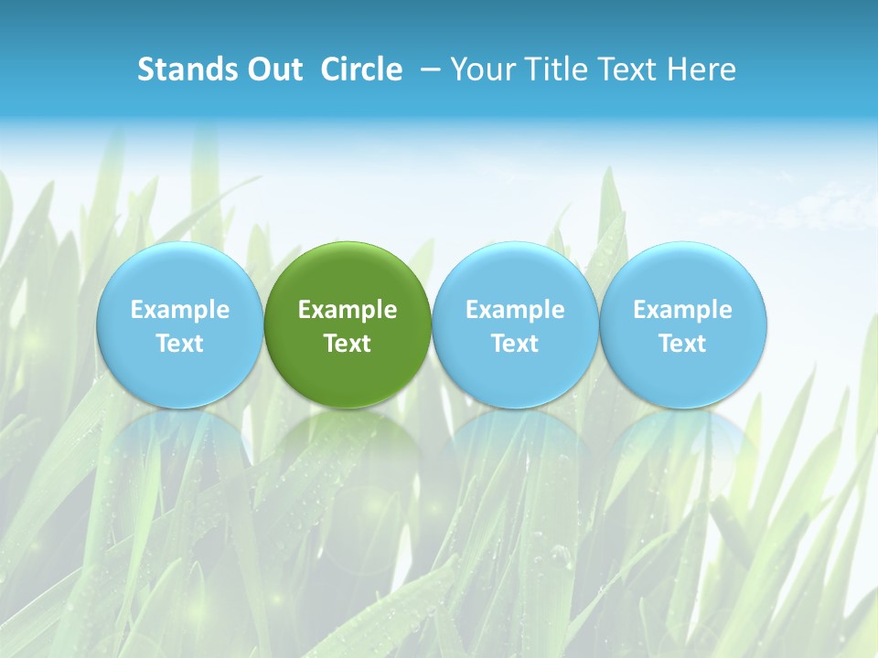 Day Wheat Grow PowerPoint Template