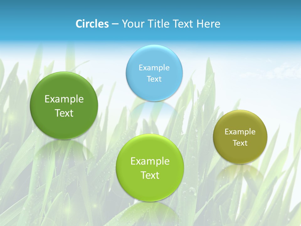 Day Wheat Grow PowerPoint Template