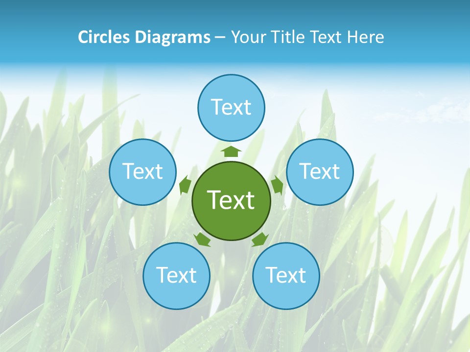 Day Wheat Grow PowerPoint Template