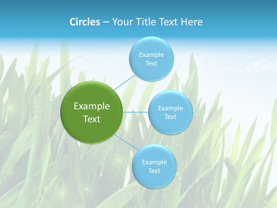 Day Wheat Grow PowerPoint Template