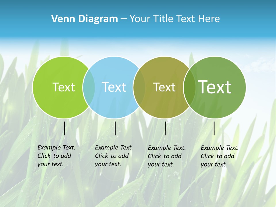 Day Wheat Grow PowerPoint Template