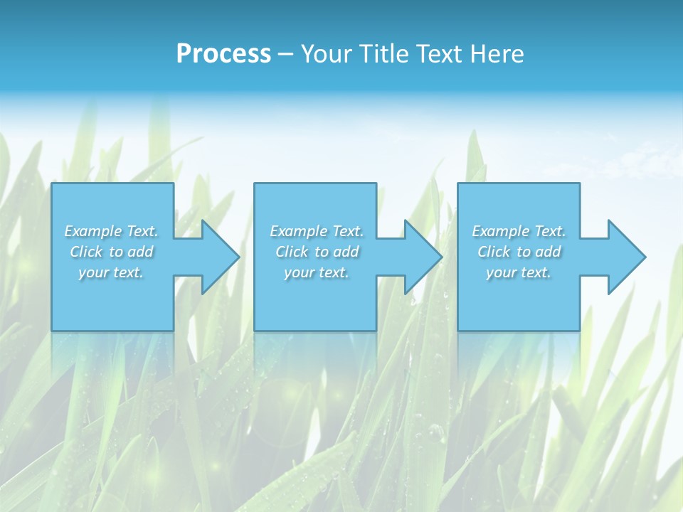 Day Wheat Grow PowerPoint Template