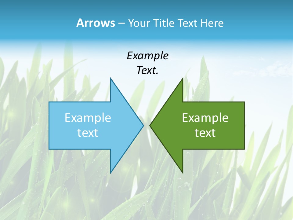 Day Wheat Grow PowerPoint Template