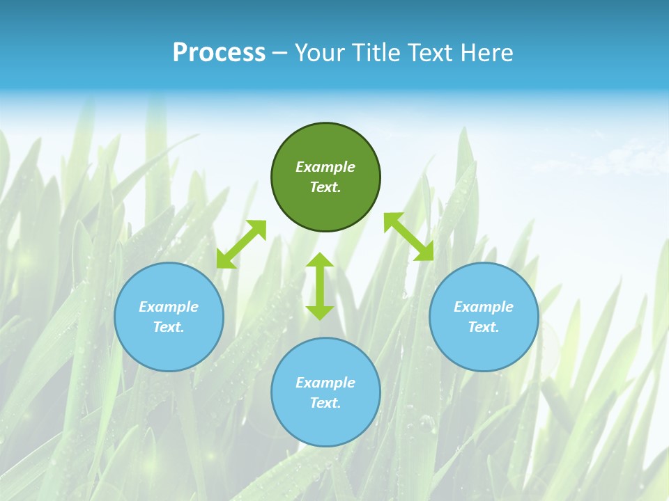 Day Wheat Grow PowerPoint Template
