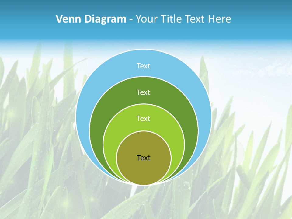 Day Wheat Grow PowerPoint Template