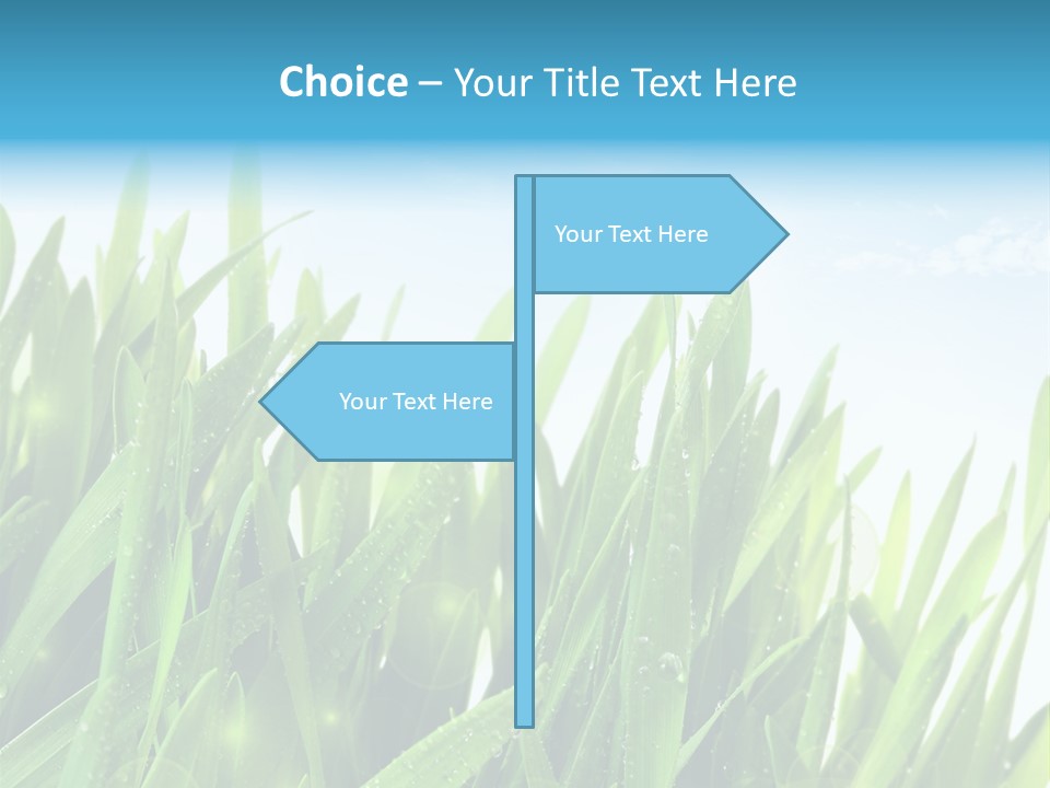 Day Wheat Grow PowerPoint Template