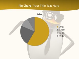 Culture Show Penguins PowerPoint Template