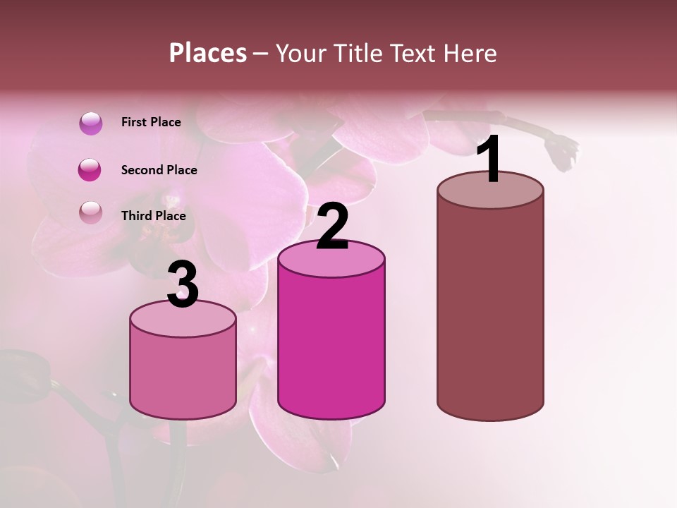 Orchid Isolated Blur PowerPoint Template