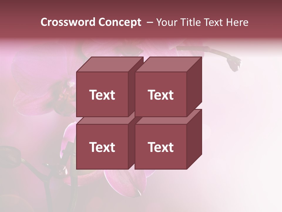 Orchid Isolated Blur PowerPoint Template