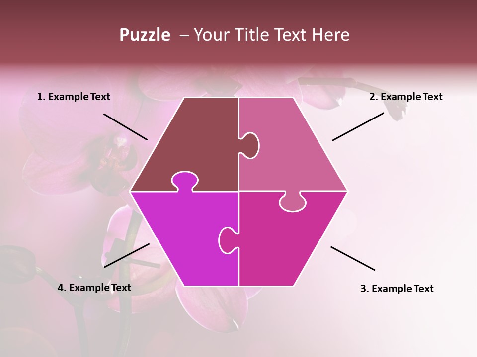 Orchid Isolated Blur PowerPoint Template