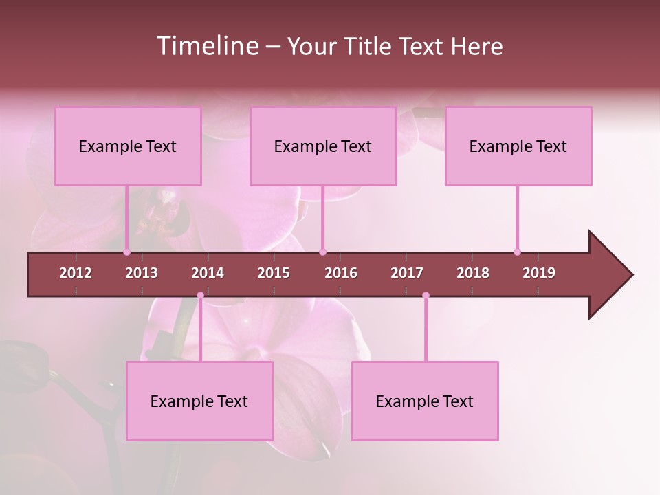 Orchid Isolated Blur PowerPoint Template