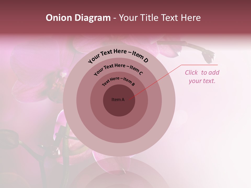Orchid Isolated Blur PowerPoint Template