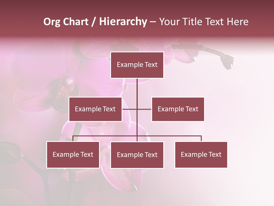 Orchid Isolated Blur PowerPoint Template