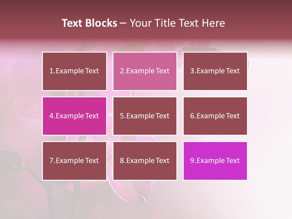 Orchid Isolated Blur PowerPoint Template