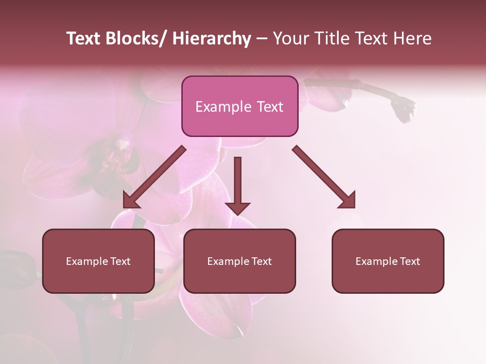 Orchid Isolated Blur PowerPoint Template