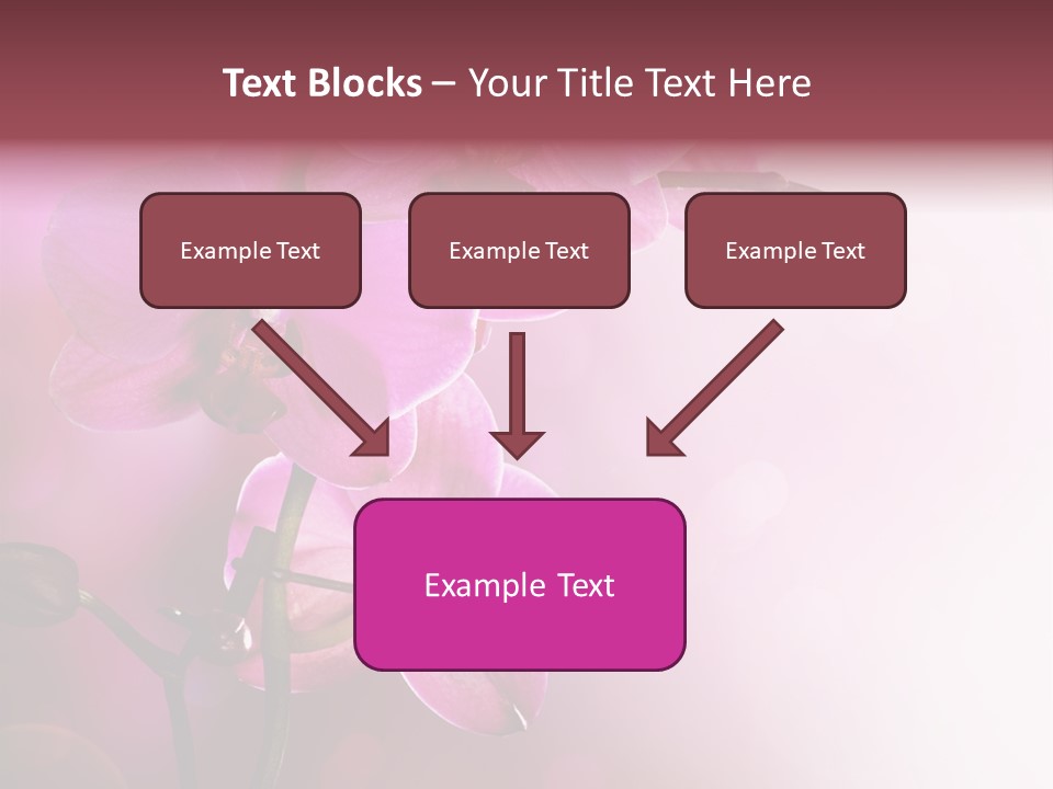 Orchid Isolated Blur PowerPoint Template