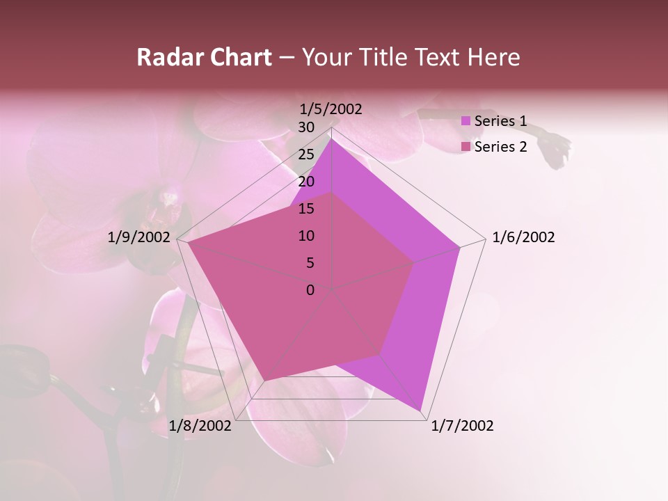 Orchid Isolated Blur PowerPoint Template