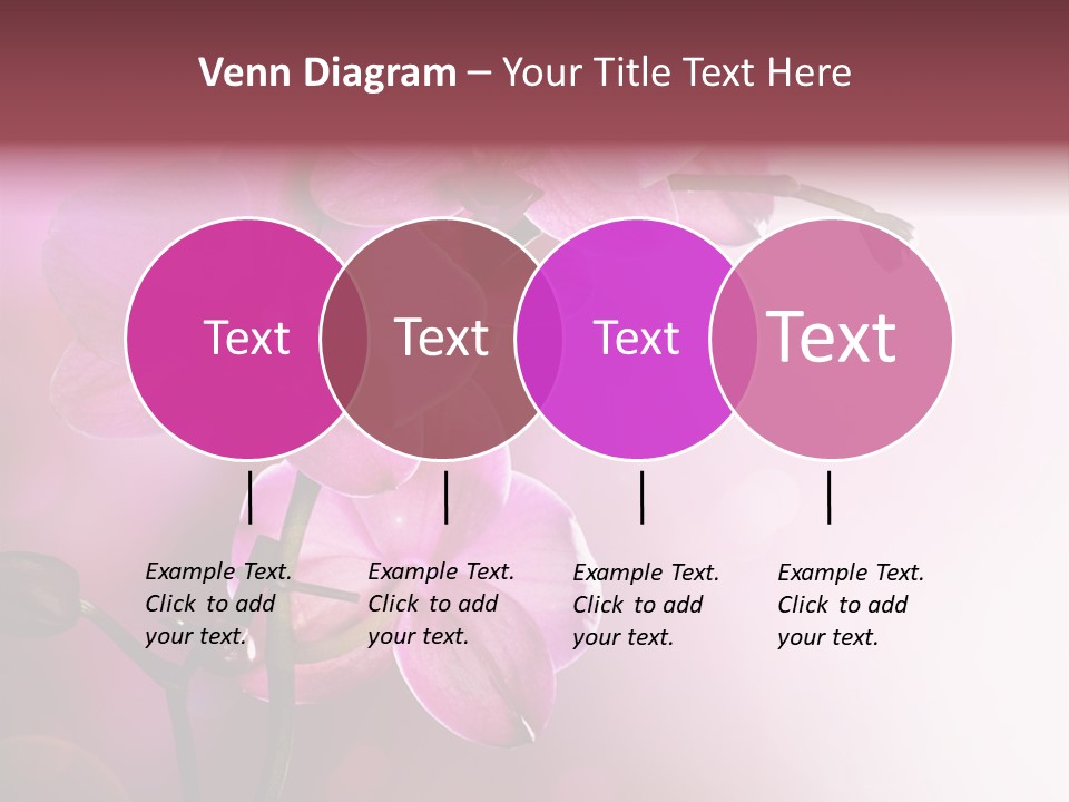 Orchid Isolated Blur PowerPoint Template