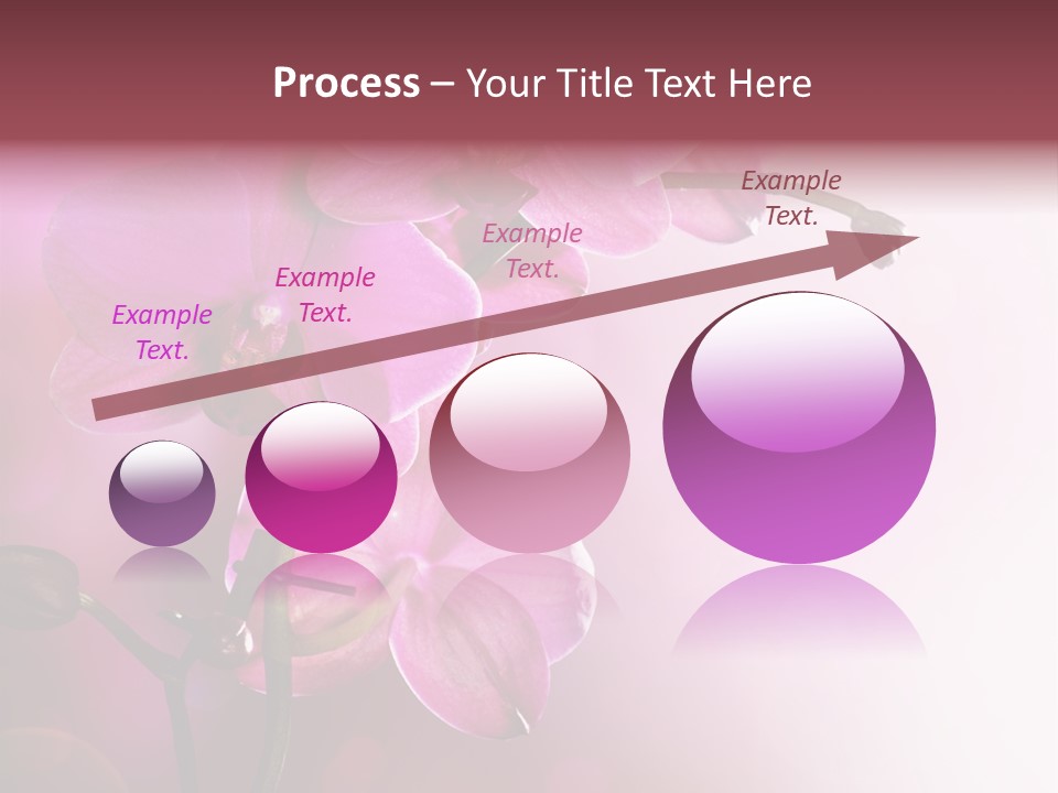 Orchid Isolated Blur PowerPoint Template