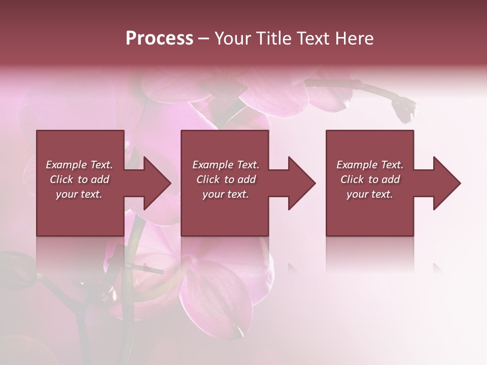 Orchid Isolated Blur PowerPoint Template