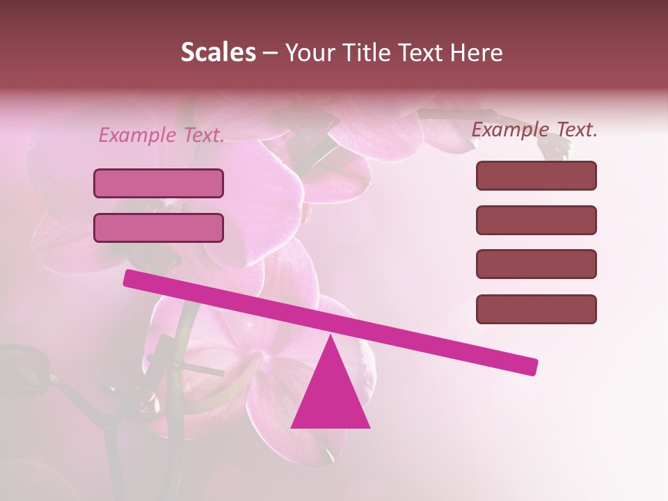 Orchid Isolated Blur PowerPoint Template