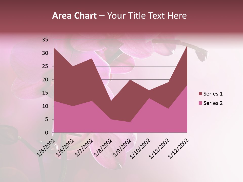 Orchid Isolated Blur PowerPoint Template