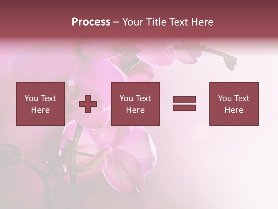Orchid Isolated Blur PowerPoint Template