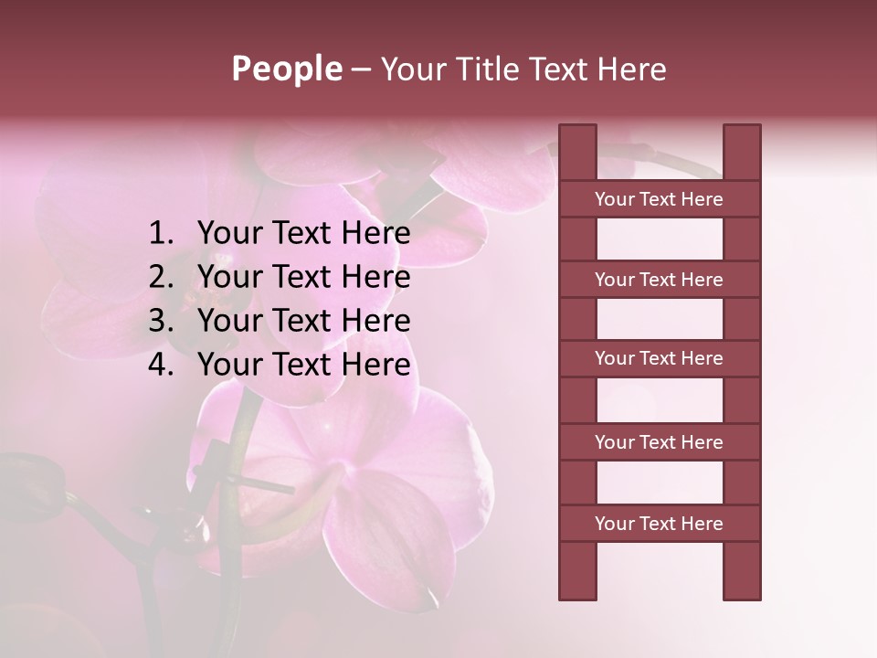 Orchid Isolated Blur PowerPoint Template