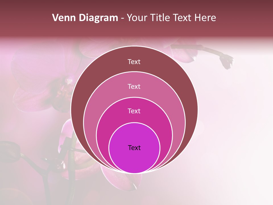 Orchid Isolated Blur PowerPoint Template