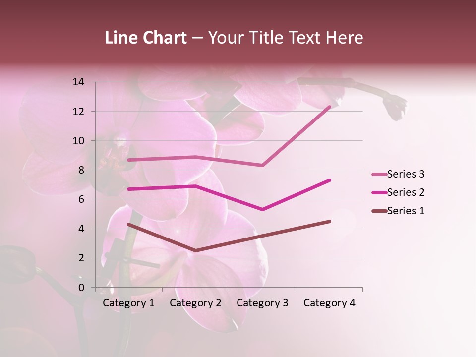 Orchid Isolated Blur PowerPoint Template