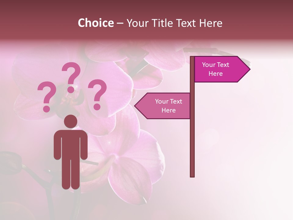 Orchid Isolated Blur PowerPoint Template