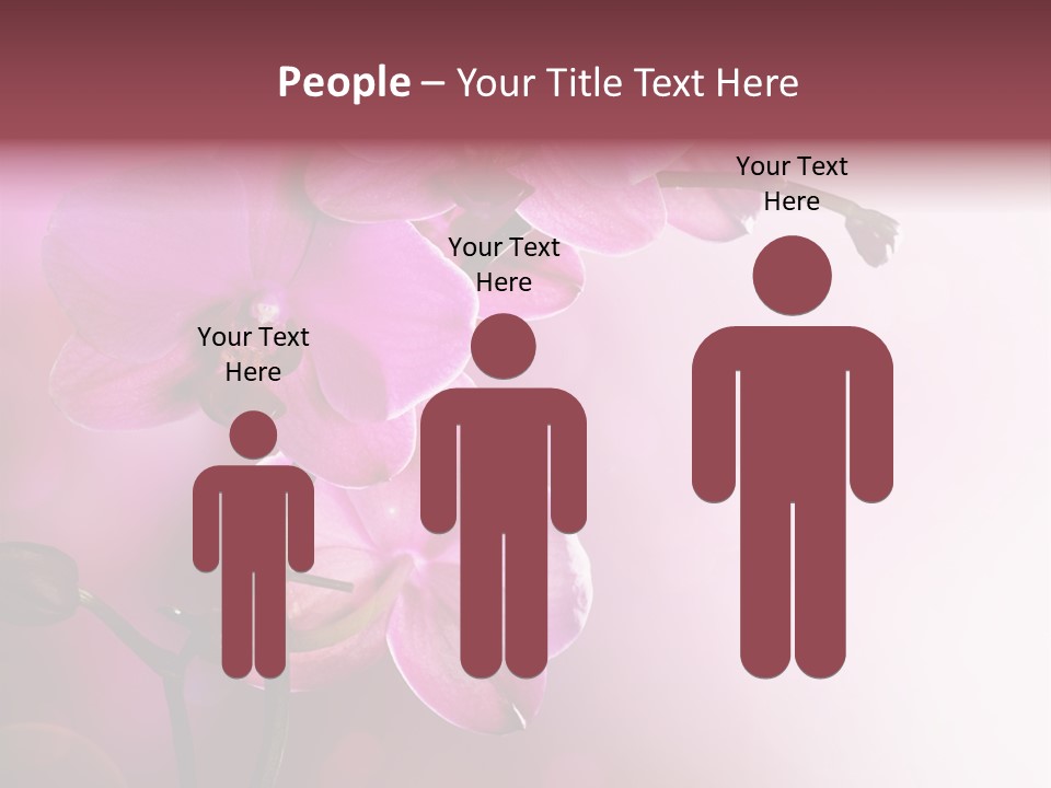 Orchid Isolated Blur PowerPoint Template