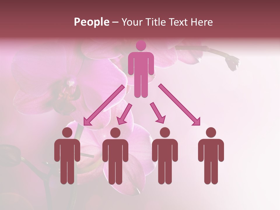 Orchid Isolated Blur PowerPoint Template