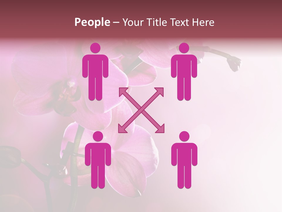 Orchid Isolated Blur PowerPoint Template