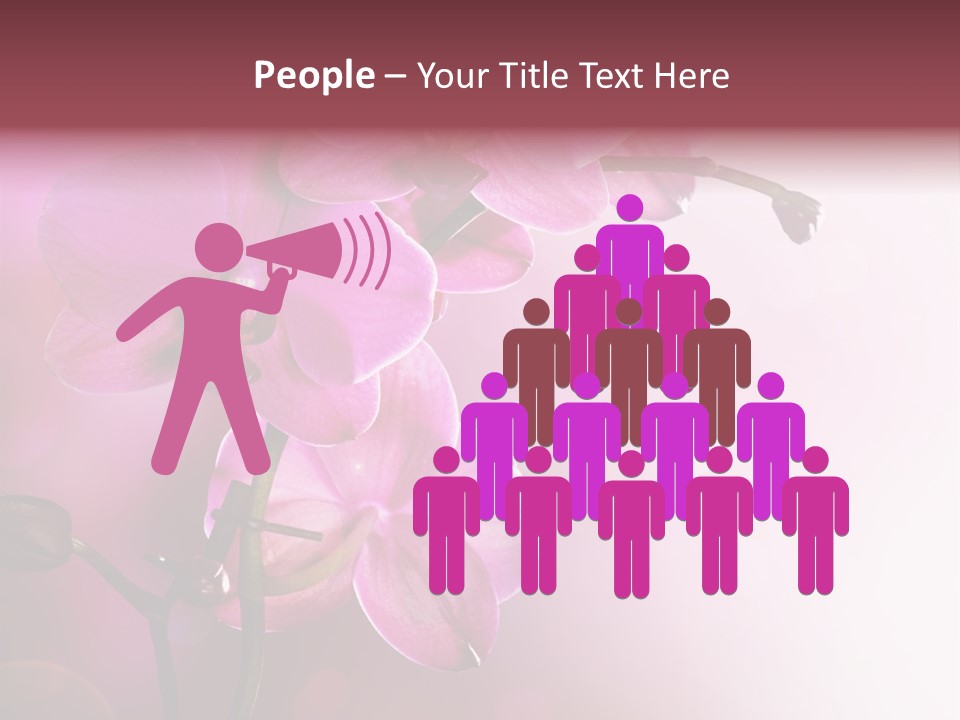 Orchid Isolated Blur PowerPoint Template