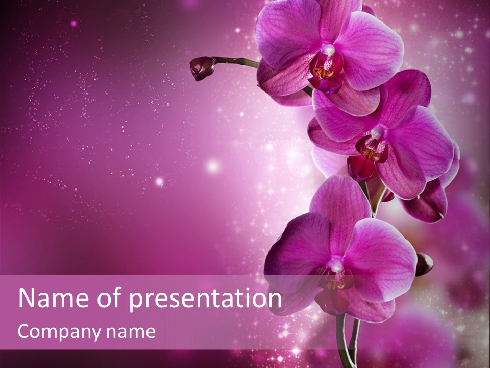 Wallpaper Bokeh Art PowerPoint Template