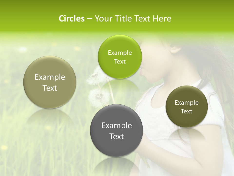 Dandelion Vacation Backlight PowerPoint Template