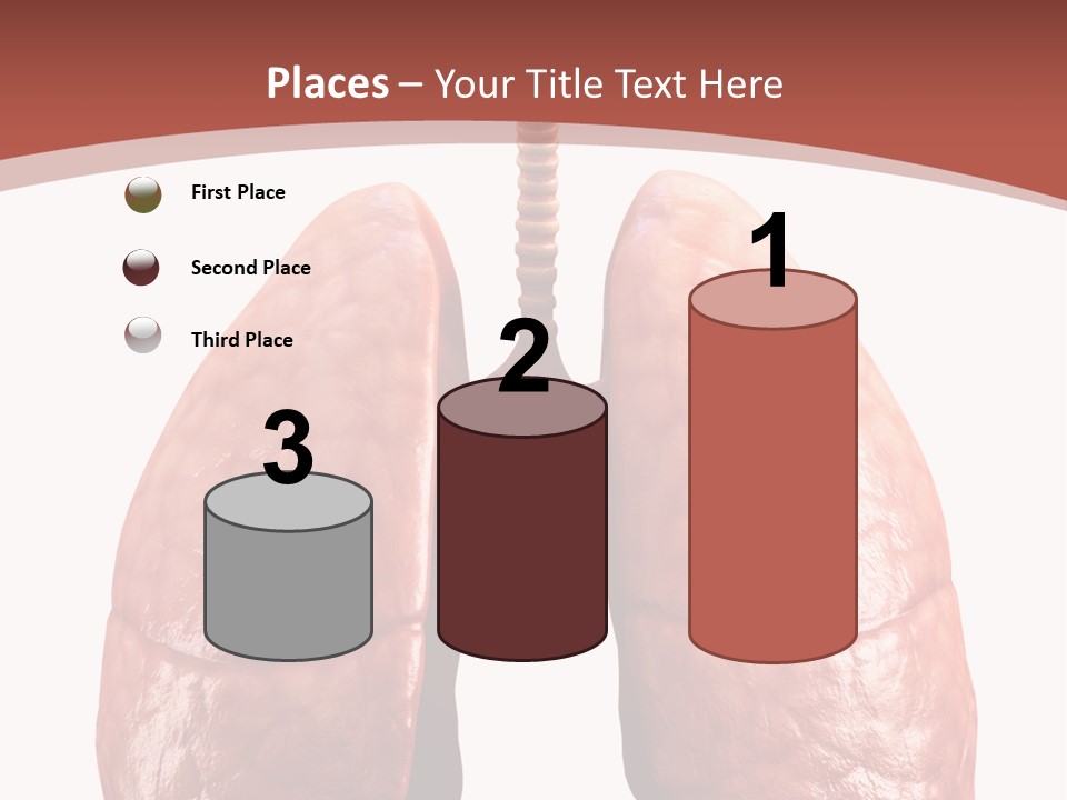 Illustration Colorful Close Up PowerPoint Template