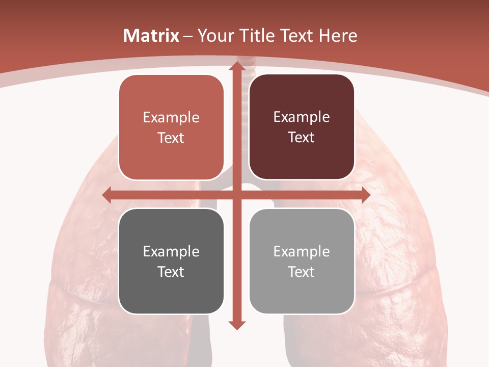 Illustration Colorful Close Up PowerPoint Template