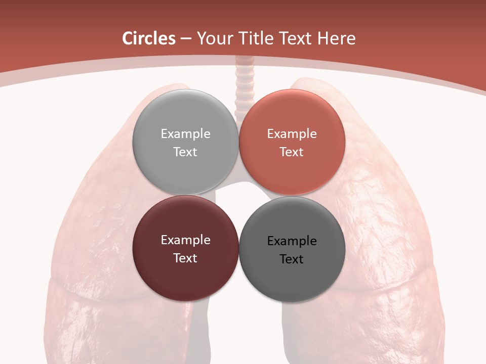 Illustration Colorful Close Up PowerPoint Template