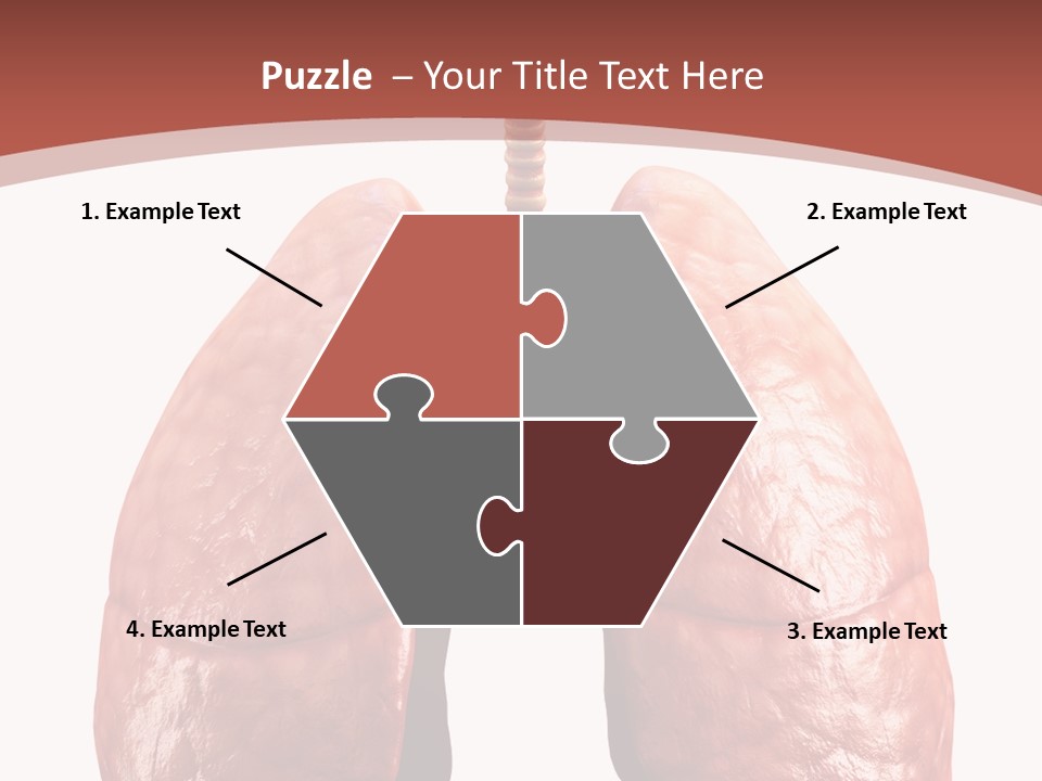 Illustration Colorful Close Up PowerPoint Template