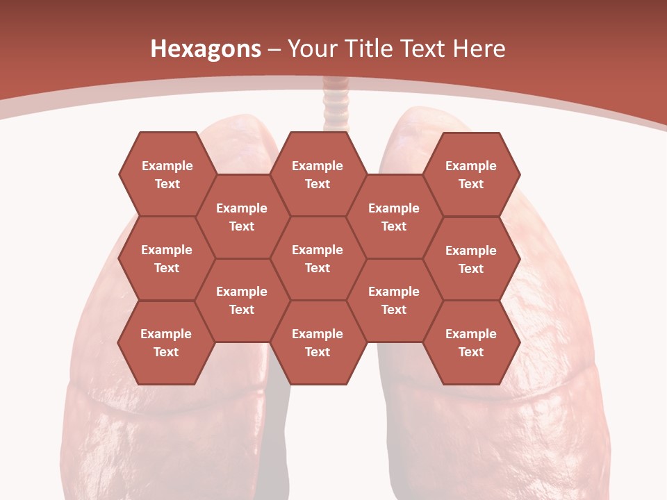 Illustration Colorful Close Up PowerPoint Template