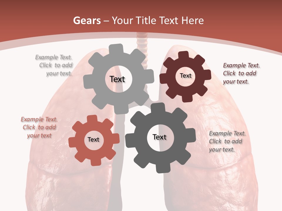 Illustration Colorful Close Up PowerPoint Template