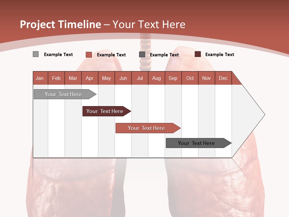 Illustration Colorful Close Up PowerPoint Template