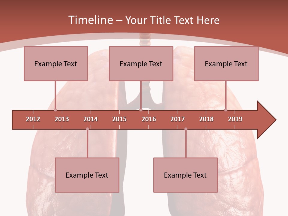 Illustration Colorful Close Up PowerPoint Template