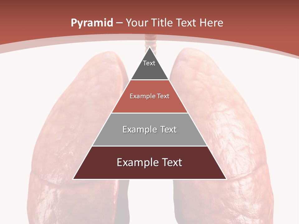 Illustration Colorful Close Up PowerPoint Template