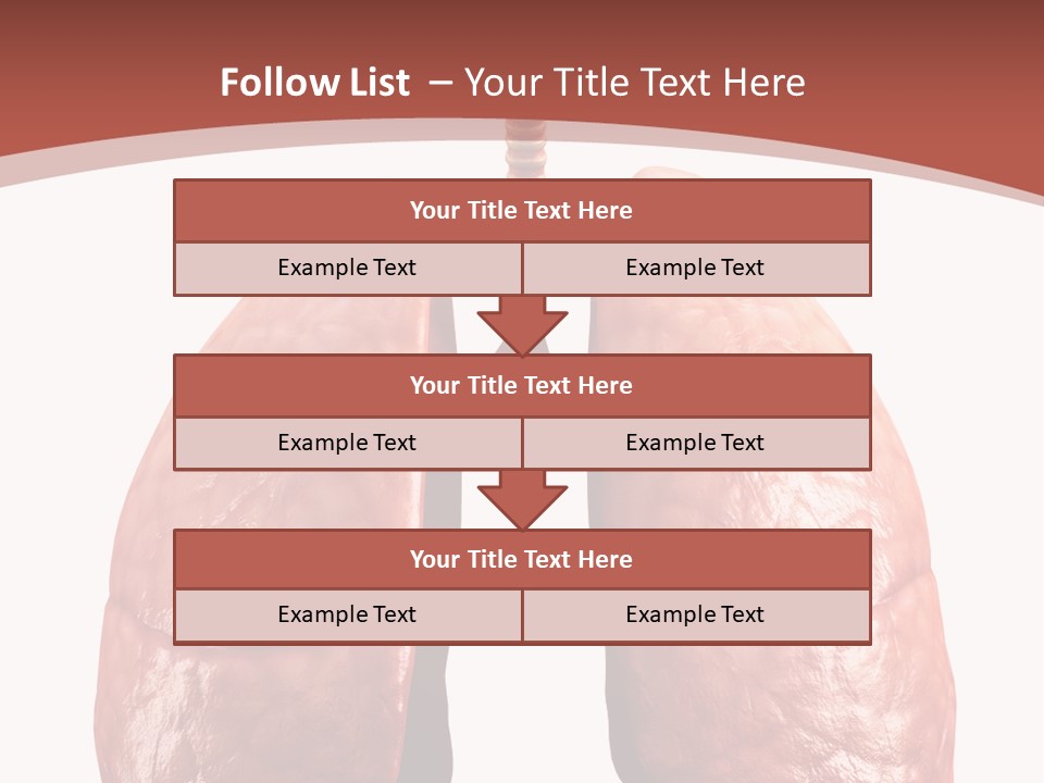 Illustration Colorful Close Up PowerPoint Template