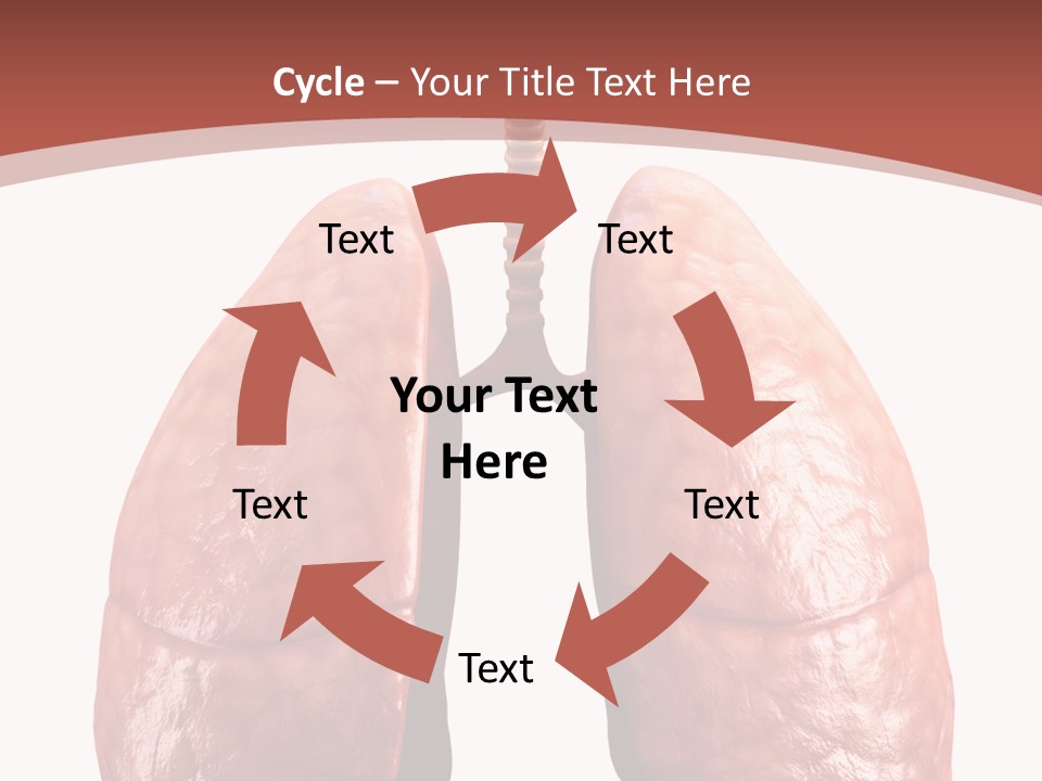 Illustration Colorful Close Up PowerPoint Template