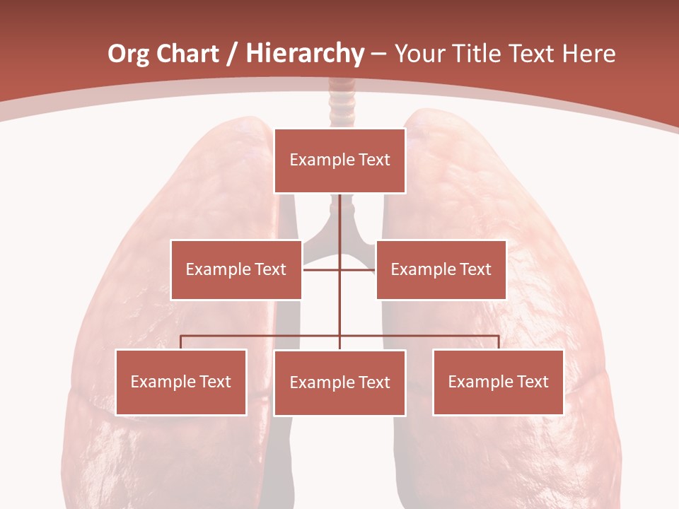 Illustration Colorful Close Up PowerPoint Template