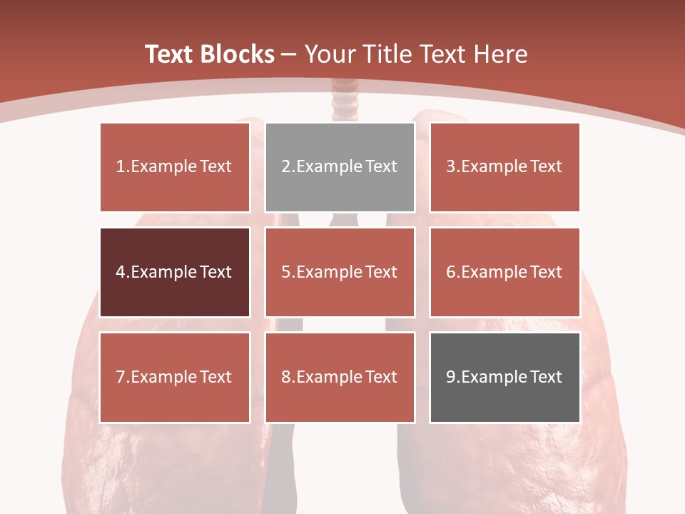 Illustration Colorful Close Up PowerPoint Template